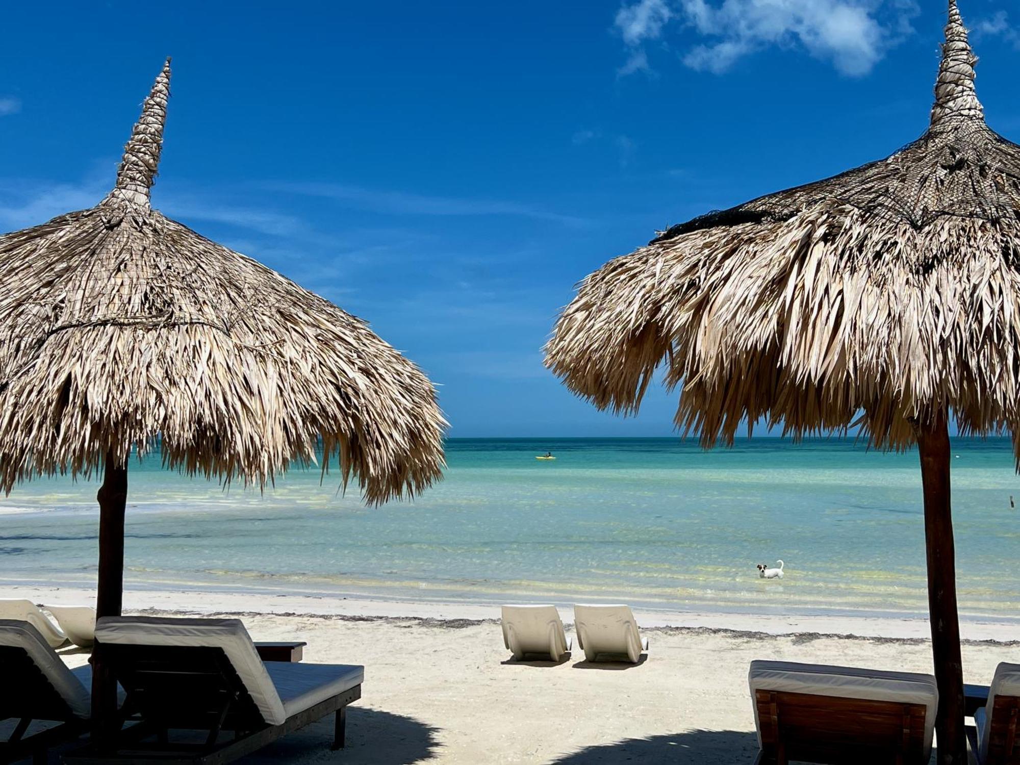 Palapas Del Sol Ξενοδοχείο Isla Holbox Εξωτερικό φωτογραφία