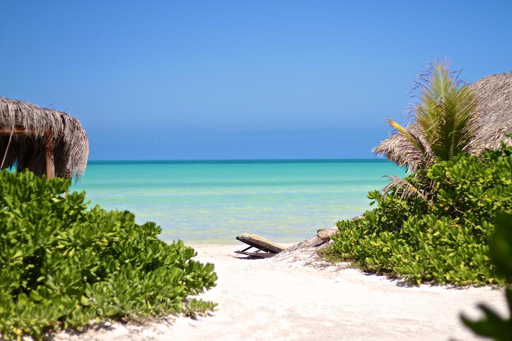 Palapas Del Sol Ξενοδοχείο Isla Holbox Εξωτερικό φωτογραφία