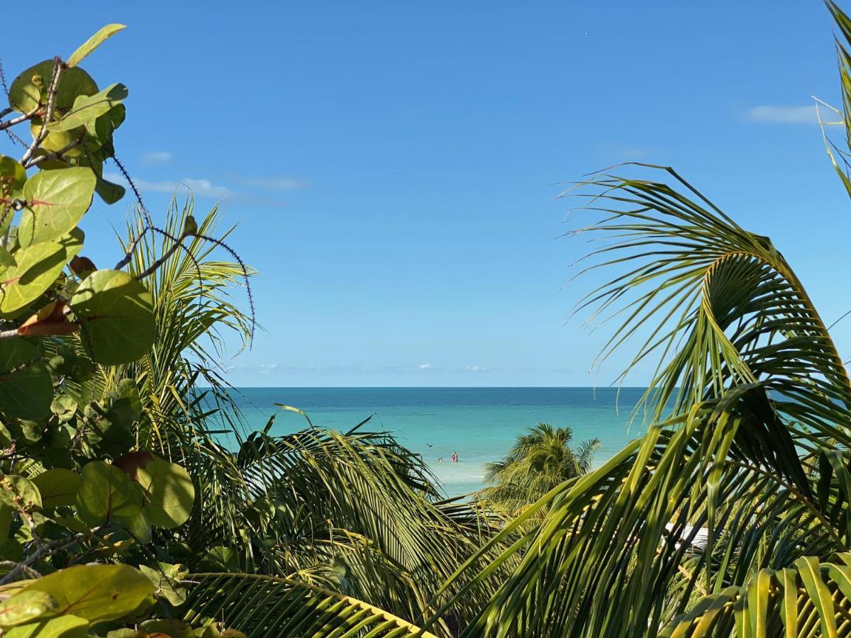 Palapas Del Sol Ξενοδοχείο Isla Holbox Εξωτερικό φωτογραφία